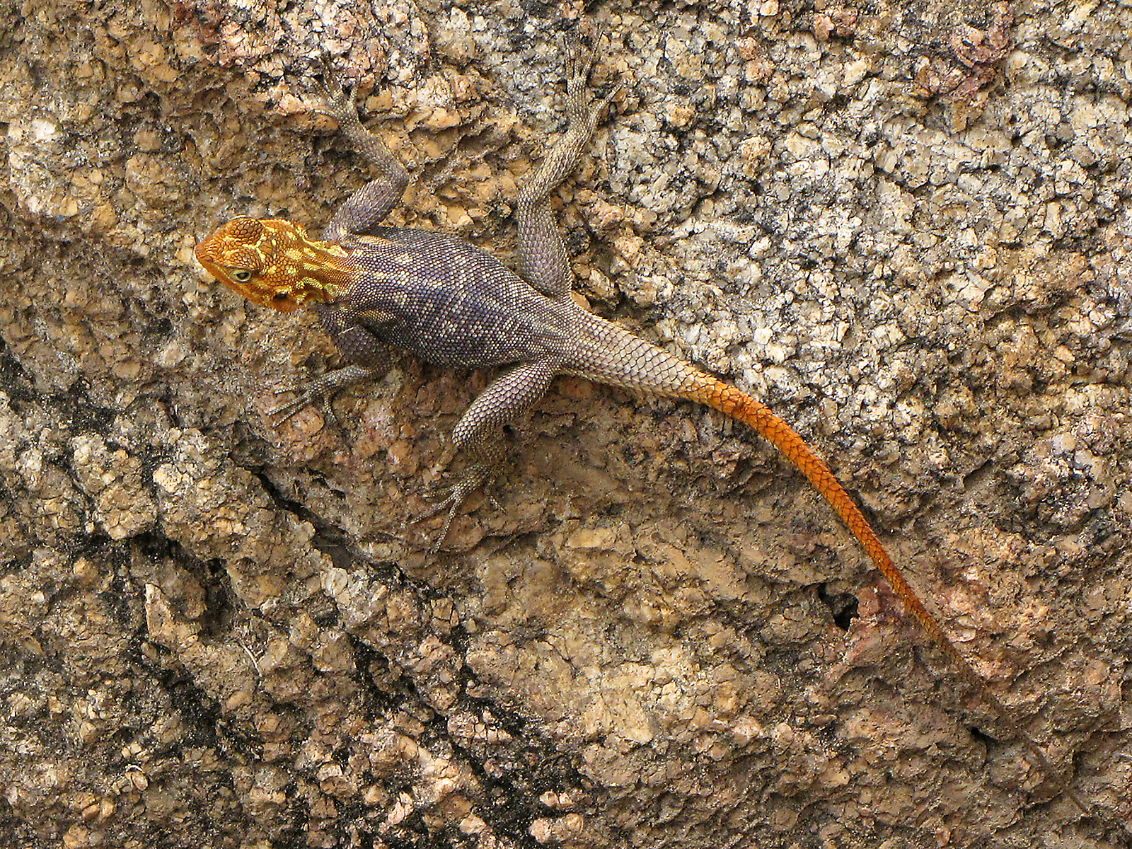 2nd Place - Keith Buckingham - Rock climbing