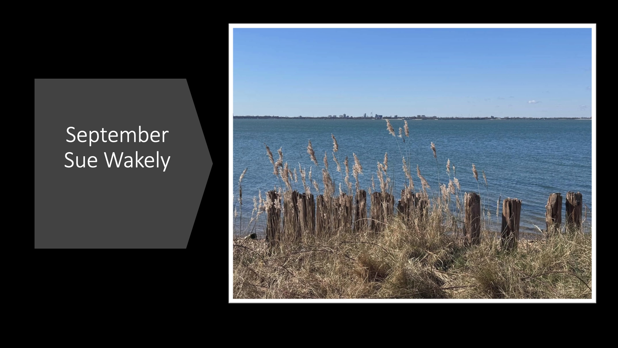 September ‐ Sue Wakeley
